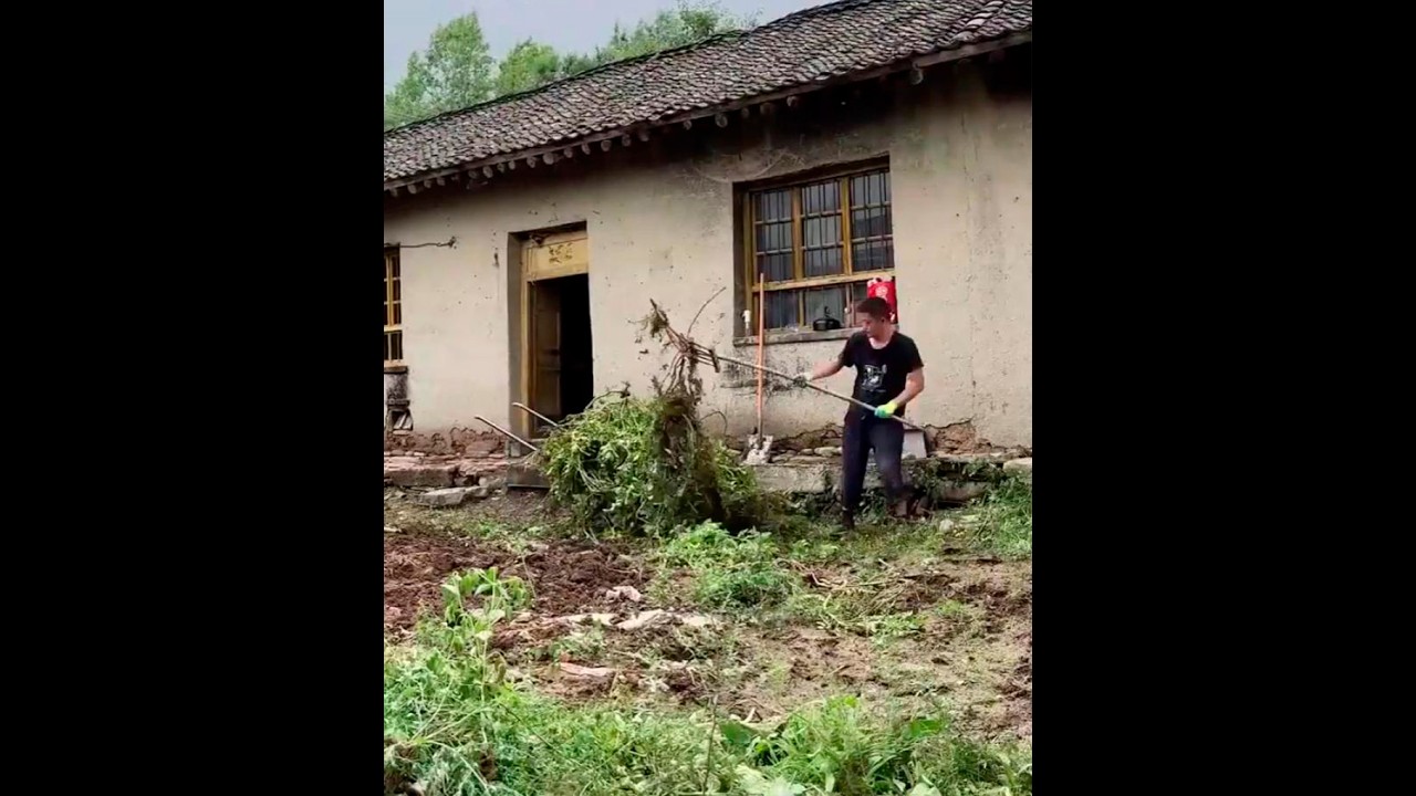 ⁣Man Renovates Abandoned Mountain House in 6 Months After Losing His Job