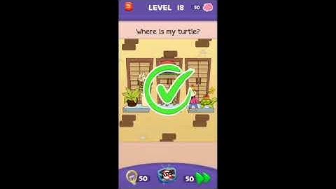 Braindom 3 Level 18 Where is my turtle Answers