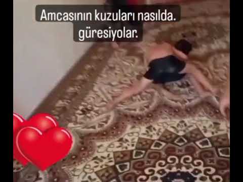 tekme tokat güreşen çocuklar ( amcasının kuzuları)