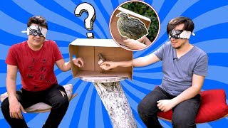 KUTUNUN İÇİNDE NE VAR CHALLENGE !