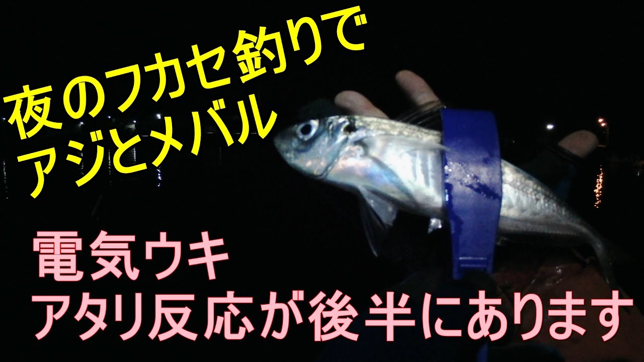 夜のフカセ釣りでアジとメバル 電気ウキ アタリ反応が後半にあります Youtube