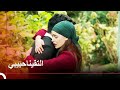 كل روحي معك |  طائر النمنمة