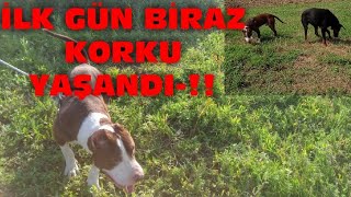 Yerleri̇n De Yok Sandim Bi̇raz Korktuk