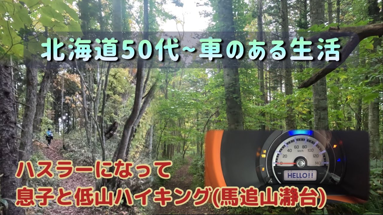 【低山ハイキング】運転ばかりのダンプ乗りおばちゃんが頑張って足腰を鍛える