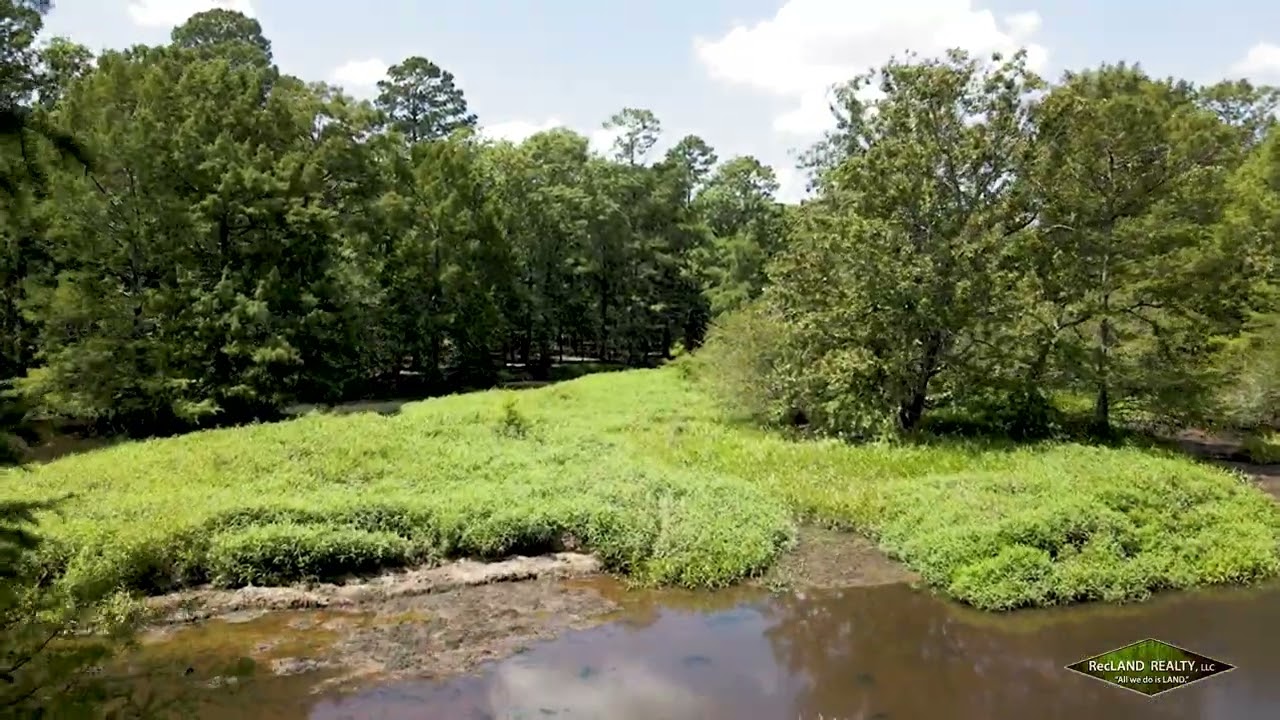 369 Acres Hunting Land for Sale in Union Parish, LA YouTube