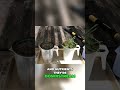 Soil Health: Infiltration is Key to Water Retention!
