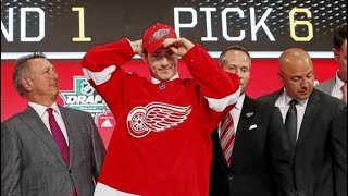 DETROIT RED WINGS SELECT FILIP ZADINA 6th OVERALL (2018 DRAFT)
