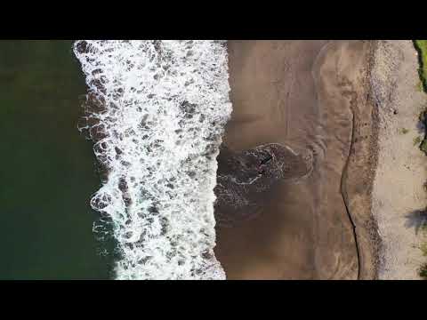 people enjoying the waves by the seashore l pexels videos No copyright