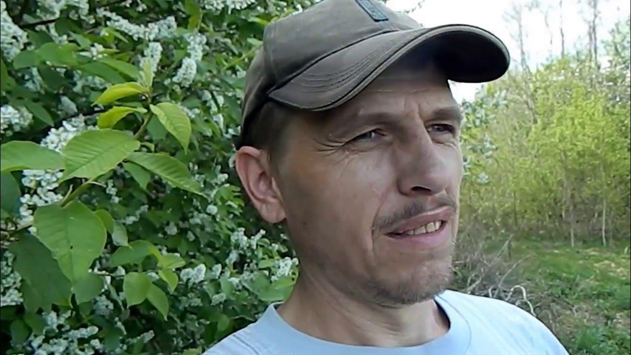 деревенские горожане видео