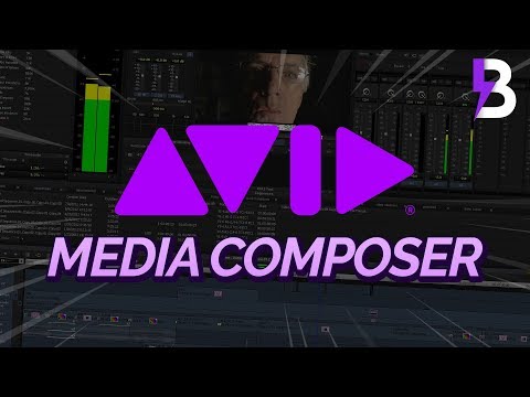 Vídeo: Quando o avid foi criado?