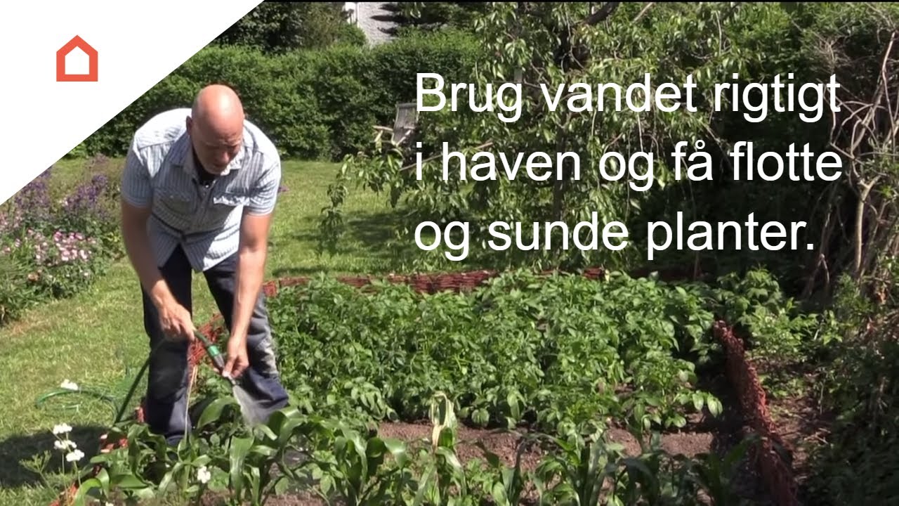 Vand rigtigt i haven