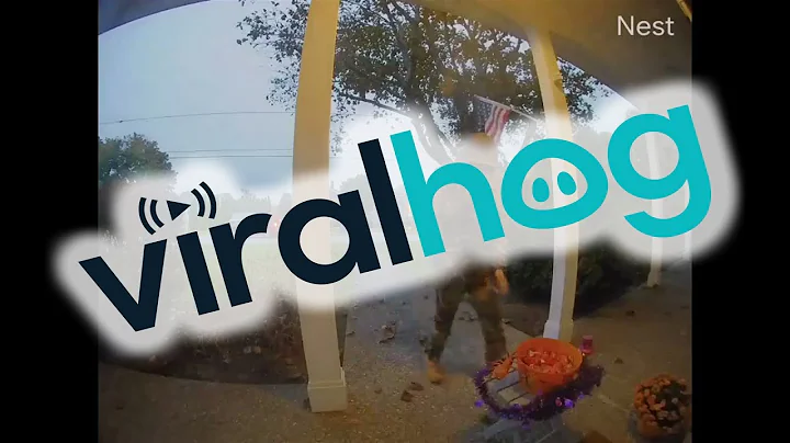 Candy Theft Thwarted || ViralHog