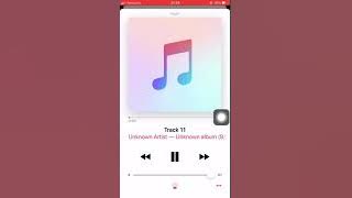 Letlotlo- St Mary immaculate young adult