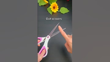 The Easiest Way To Sharpen A Scissors #lifehacks #shorts