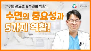 수면의 중요성과 5가지 역할!