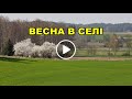 Весна в селі. Яка вона є???