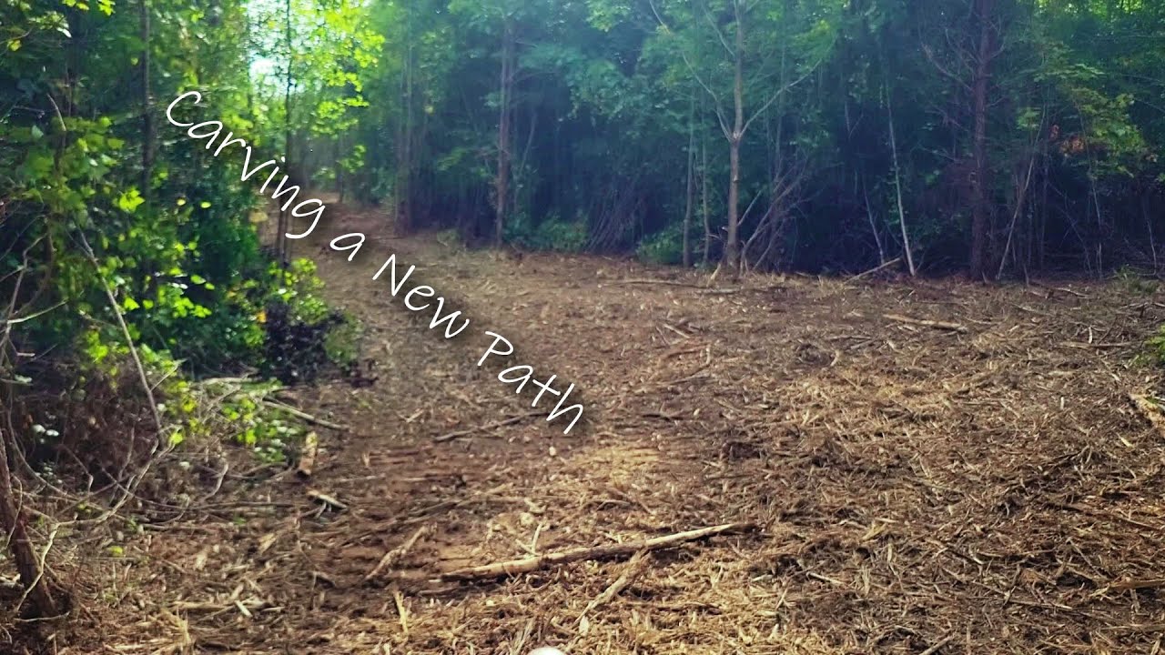 Forestry Mulchers Are Amazing || Clearing 1 Acre On New Land