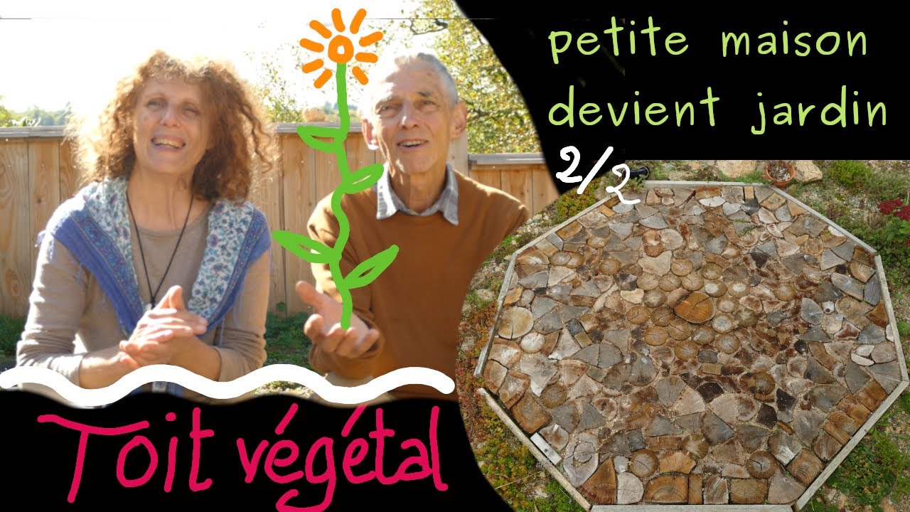 Маленький разрушенный дом, превратившийся в сад 2/2 Что происходит с зелёной крышей год спустя?