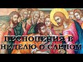 В Неделю о Слепом /Песнопения из Цветной Триоди.