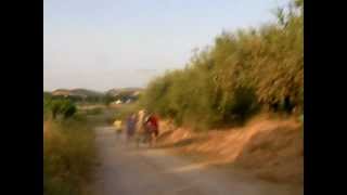 2o Prueba caballos del vino Perla en Peruelo