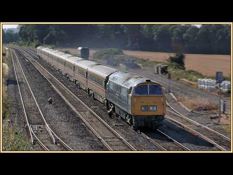 D1015 'Western Champion: The Western Wanderer - 25/08/25