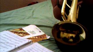 My heart will go on- titanic song on the trumpet