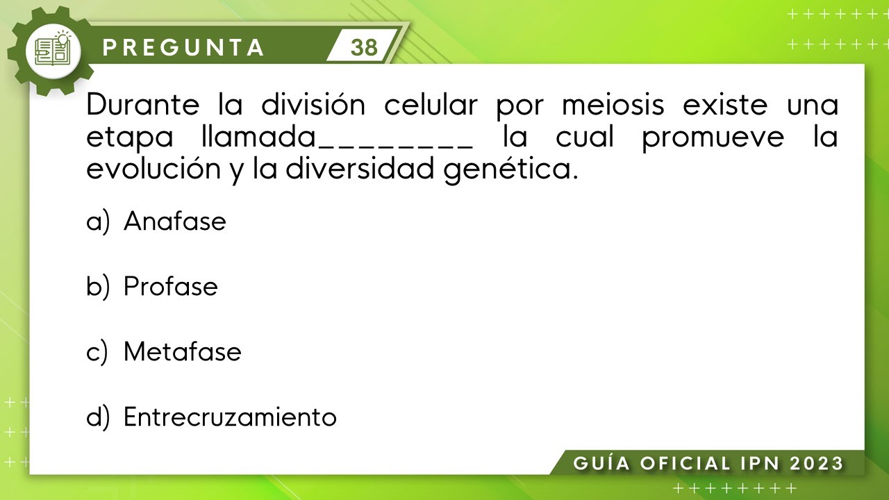 Guía IPN 2023 | Biología Pregunta No. 38 | Ciencias Médico Biológicas
