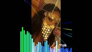 Elektro Bağlamalı Oyun Havası.... Resimi