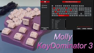 Клавиатура Molly - программа KeyDominator 3 - переназначение клавиш !