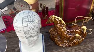 Hidden Treasures at the Golden Nugget Flea Market! (What Did We Find?)