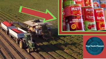 Cool Food Processing Technology with Modern Automatic Machines That Are At Another Level Part #8