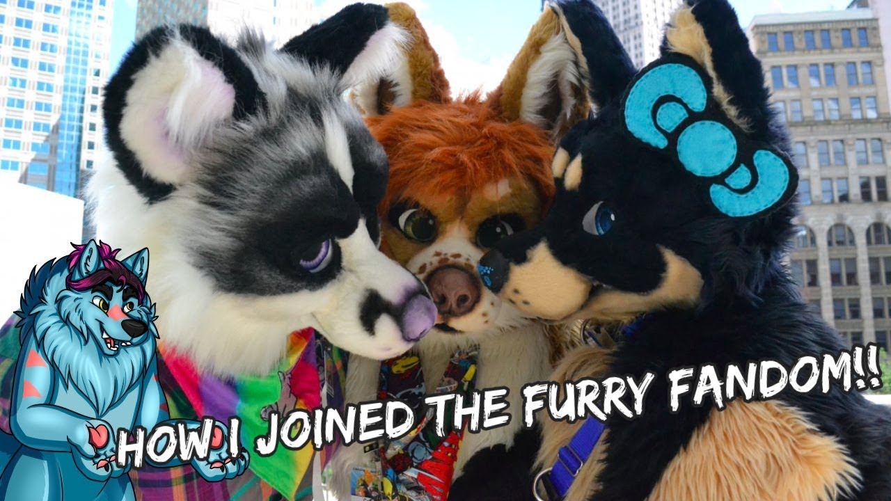 How I Joined The Furry Fandom!!