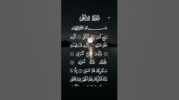 سعد الغامدي 😘❤سورة_الاعلى. اجمل تلاوة هادئة 🌹