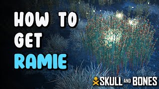 How to Get Ramie - Ramie Location | Skull & Bones