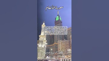 سورة الأنعام ٣٠ #quran #قران #اكسبلور #قرآن #قرأن #قرآن_كريم #قران_كريم