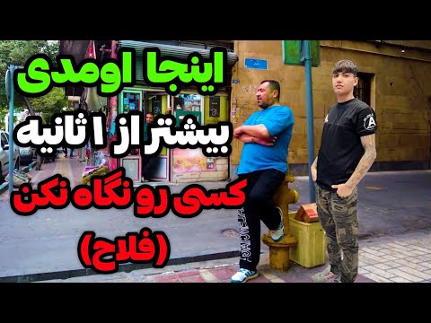 2025   محله فلاح