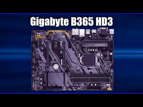 Материнская плата Gigabyte B365 HD3