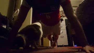 Day 16 of 22 - Push Up Challenge