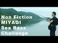 宮城でシーバスの大会に参加してみた｜MIYAGI SEA BASS HOMIES |