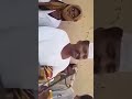 القامه زمراوي من مغربه ولي مغربه