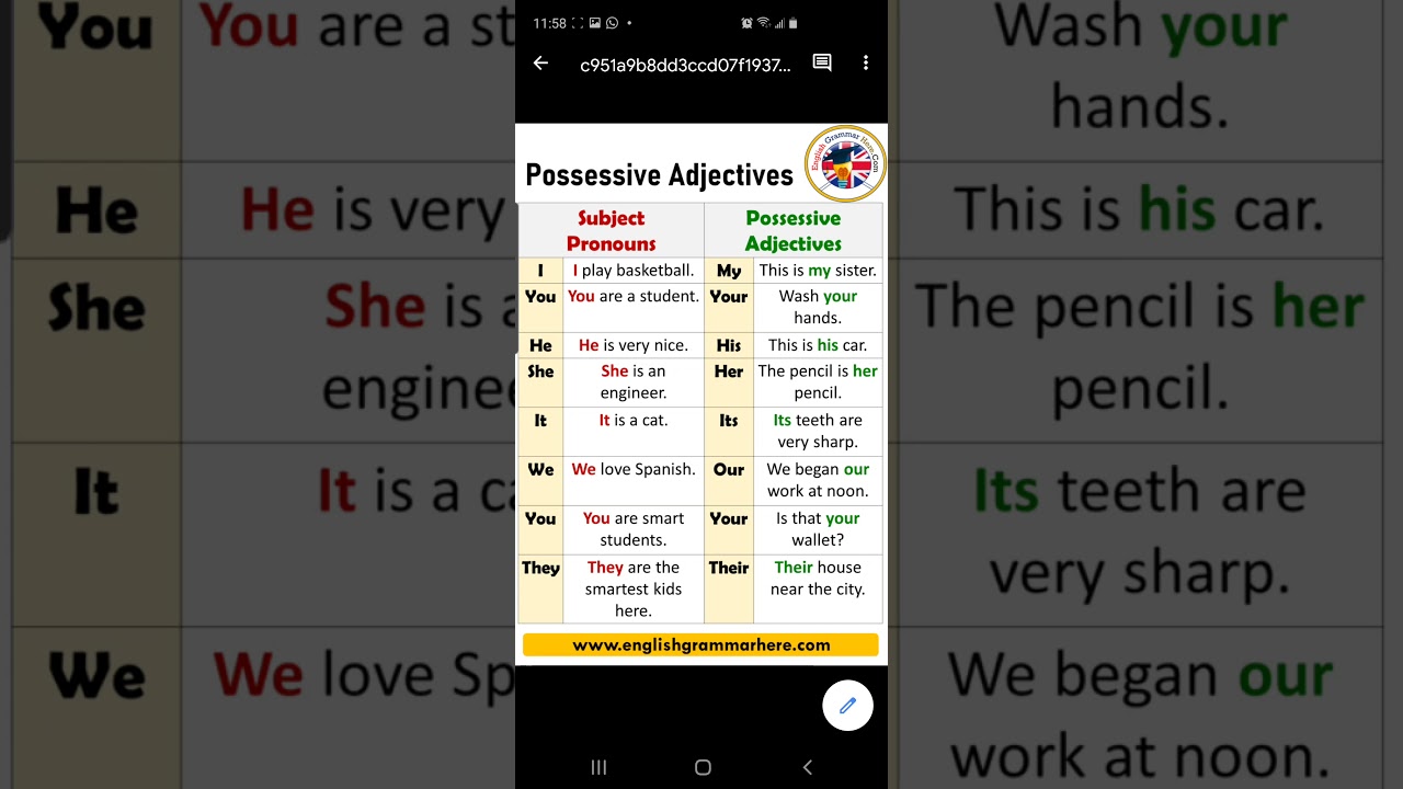 Subject Pronouns And Possessive Adjectives Bilingual English Malay Bi Bm Youtube