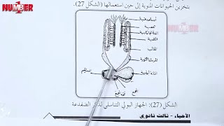 الأحياء | التكاثر الجنسي في الضفادع | أ. خزيمة الحاج | حصص الشهادة السودانية