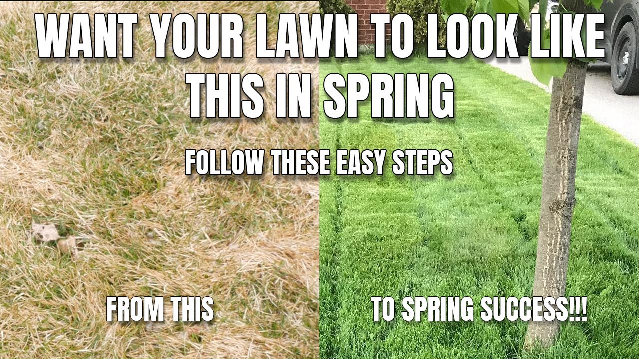 Spring Lawn Care Tips - How To Have The BEST Lawn On The Block. Q+A ...