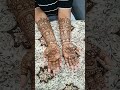 🥰🌎#Rohit #mehndi #artist #in #chennai #my #contact🌿🔱 #number ☎️92591 09456