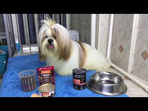 Video: Ingredientes enlatados para perros