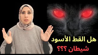 هل القط الأسود شيطان ؟