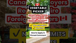  Vegetable Picker Lmia Employers Willing To Sponsor Foreign Workers