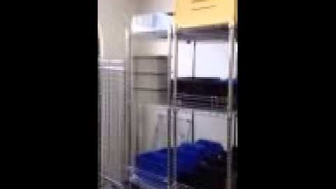 Quantum Storage Systems