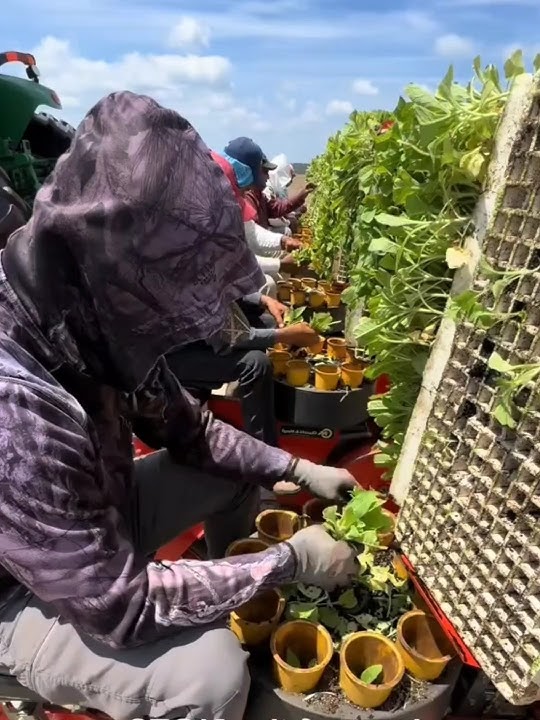 t4n4m tembkou pake mesin