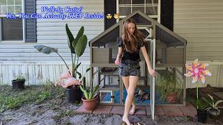 The Catio PET03NEW: A Safe Outdoor Sanctuary You Can Walk Into 🌿🐱